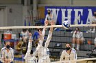 Volleyball vs RWU  Wheaton Women’s Volleyball vs Roger Williams University. : Volleyball, VB